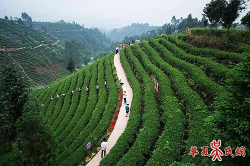 清代蜀學大師吳之英與蒙頂山茶